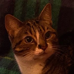 Meet your Posher, Natalya